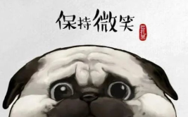 搞笑幽默的精短句子,精选搞笑短句集锦