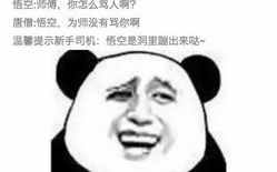 全网搞笑图片,搞笑图片大集合，笑出腹肌的欢乐盛宴