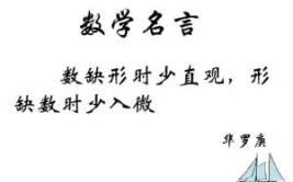 数学名言10字,智慧之光