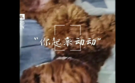 动一动吧打一字,一字生辉