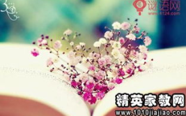 歇后语大全集1000个,智慧与幽默的完美融合